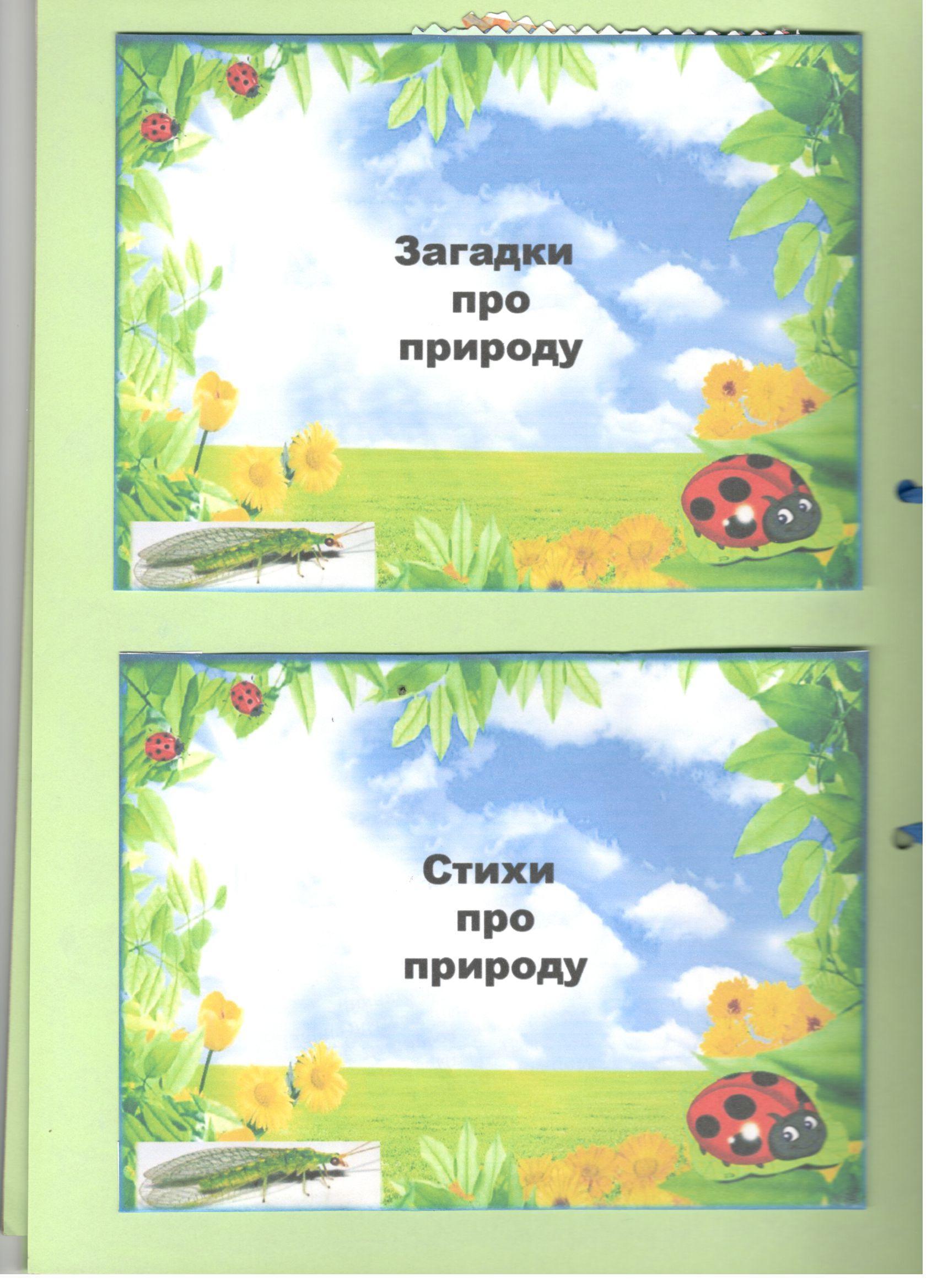 Лэпбук своими руками
