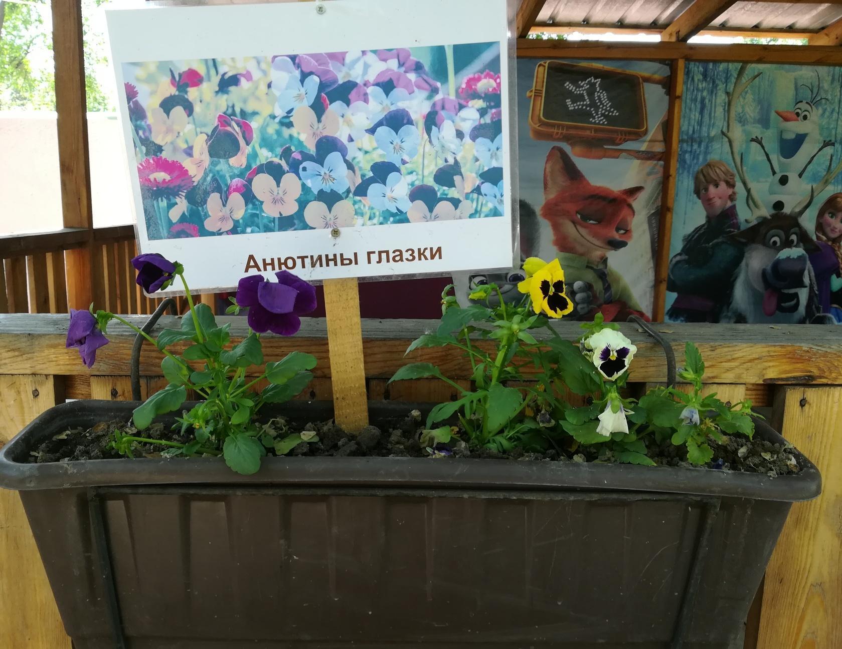 День открытых дверей "Подари жизнь цветочку - улыбнись природе!"